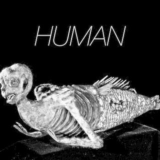 Human