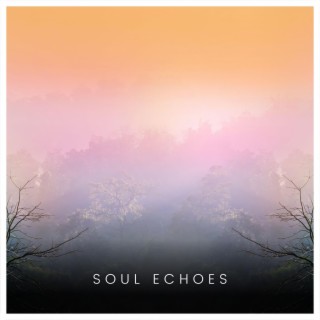Soul Echoes
