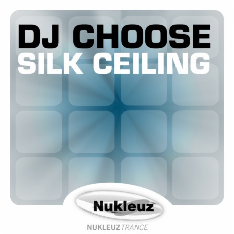 Silk Ceiling | Boomplay Music