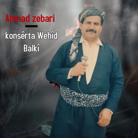 konsêrta Wehîd Balkî | Boomplay Music