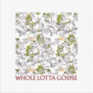 Whole Lotta Goose lyrics | Boomplay Music