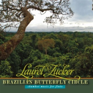 Brazilian Butterfly Circle