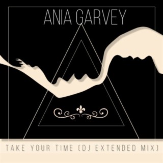 Take Your Time (DJ Extended Mix)