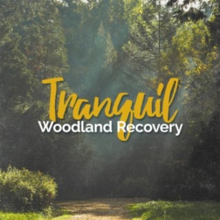 Tranquil Woodland Recovery