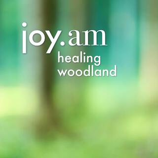 healing woodland