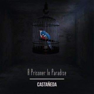 A Prisoner in Paradise