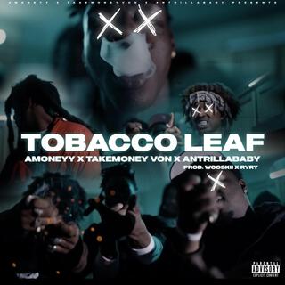 Tobacco Leaf