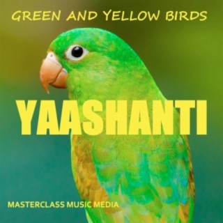 Green And Yellow Birds