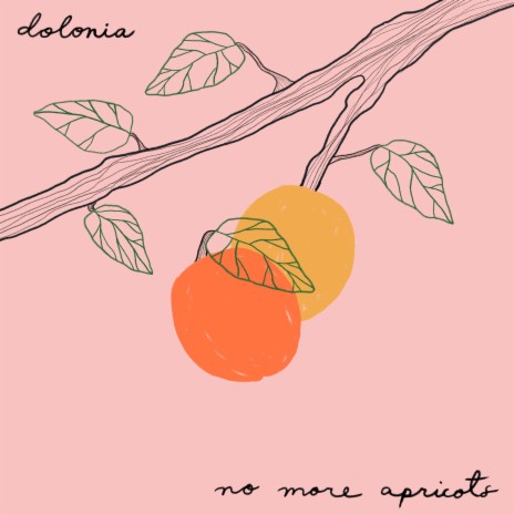 No More Apricots | Boomplay Music