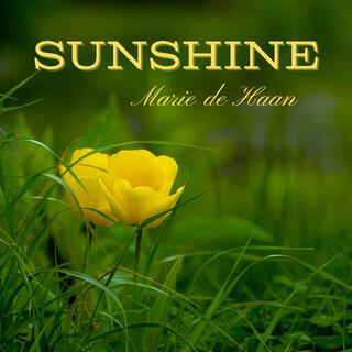 Sunshine lyrics | Boomplay Music