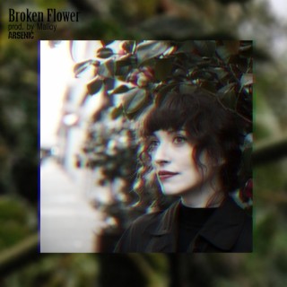Broken flower lyrics | Boomplay Music