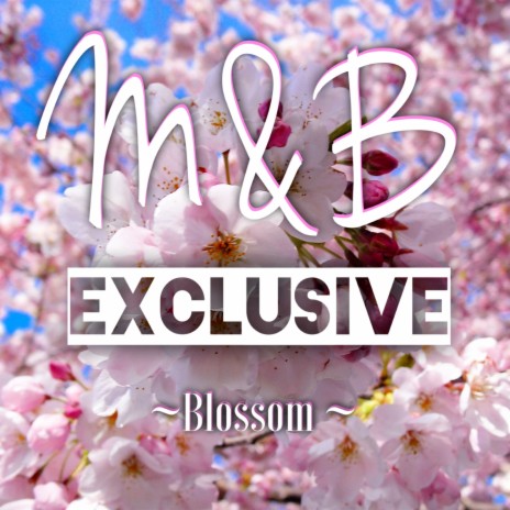 Blossom (Instrumental) | Boomplay Music