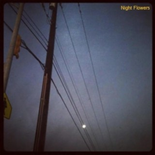 Night Flowers