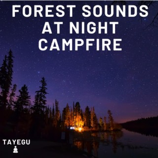 Forest Sounds at Night Campfire by The River Camping Crickets Water Stream Waterfall 1 Hour Relaxing Nature Ambient Yoga Meditation Sound For Sleeping Relaxation or Studying
