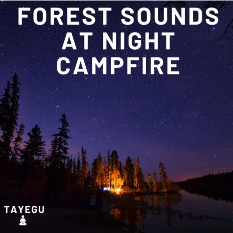 Forest Sounds at Night Campfire by The River Camping Crickets Water Stream Waterfall 1 Hour Relaxing Nature Ambient Yoga Meditation Sound For Sleeping Relaxation or Studying | Boomplay Music