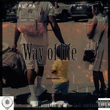 Way of Life | Boomplay Music