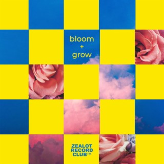 bloom + grow