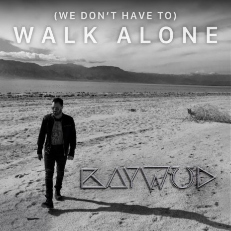 (We Don't Have To) Walk Alone | Boomplay Music