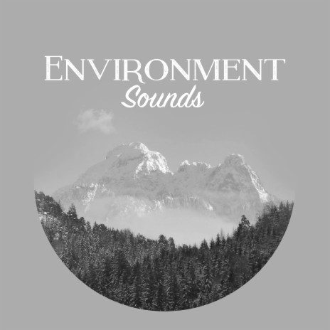 Natural Water Sound | Boomplay Music
