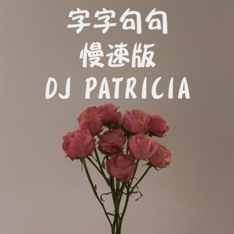 字字句句-慢速版DJ PATRICIA | Boomplay Music