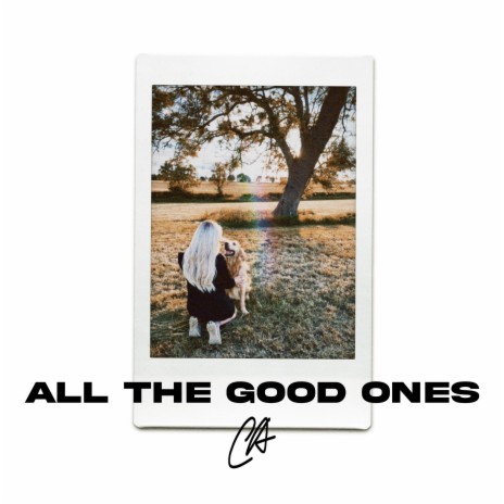 All The Good Ones | Boomplay Music