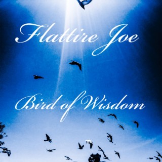 Bird of Wisdom