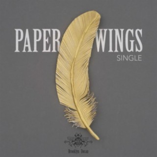 Paper Wings