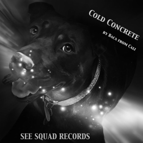 COLD CONCRETE | Boomplay Music