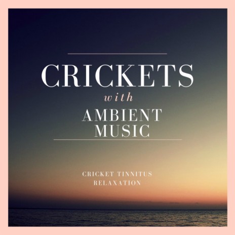 Dreaming of Crickets | Boomplay Music