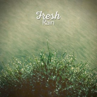 Fresh Rain