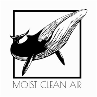 Moistcleanair