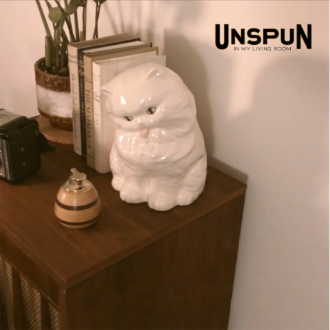 Unspun (In My Living Room) | Boomplay Music