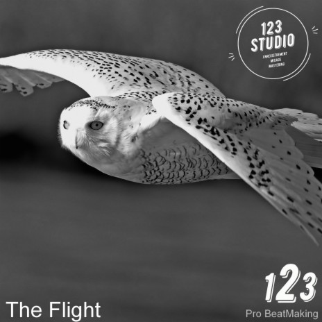 The Flight | Boomplay Music