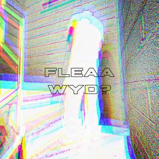 FLEAA WYD?