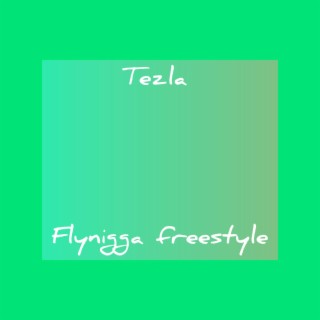 Fly Nigga Freestyle