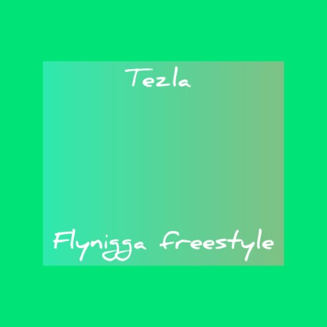 Fly Nigga Freestyle | Boomplay Music