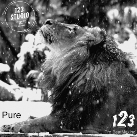 Pure | Boomplay Music