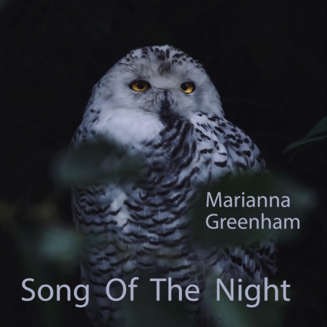Song Of The Night (feat. Jill Cooper, Mike Hyder, Belinda Leonard & Rinanda) | Boomplay Music
