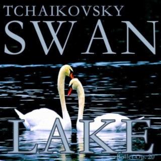Tchaikovsky: Swan Lake Ballet, Op. 20