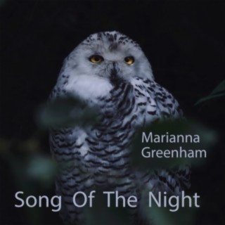 Song Of The Night (feat. Jill Cooper, Mike Hyder, Belinda Leonard & Rinanda)