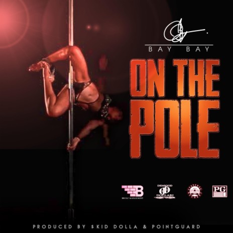 On the Pole | Boomplay Music