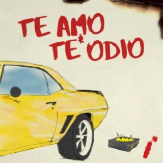 te amo y te odio