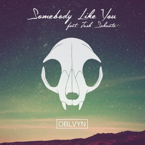 Somebody Like You (feat. Josh Sahunta) | Boomplay Music