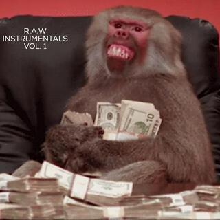 RAW INTRUMENTAL VOL 1