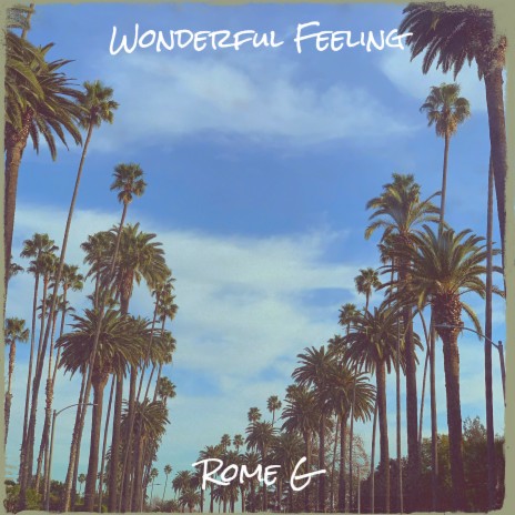 Wonderful Feeling | Boomplay Music