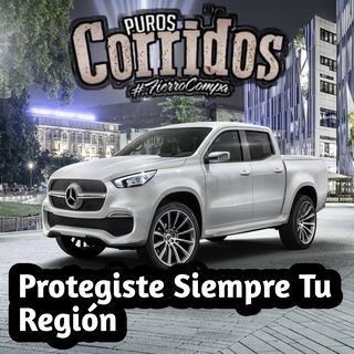 Protegiste siempre tu región