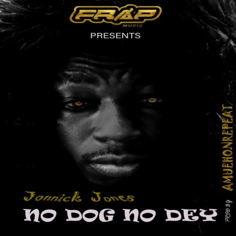 No Dog No Dey | Boomplay Music