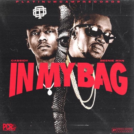 In My Bag ft. Beenie Man | Boomplay Music