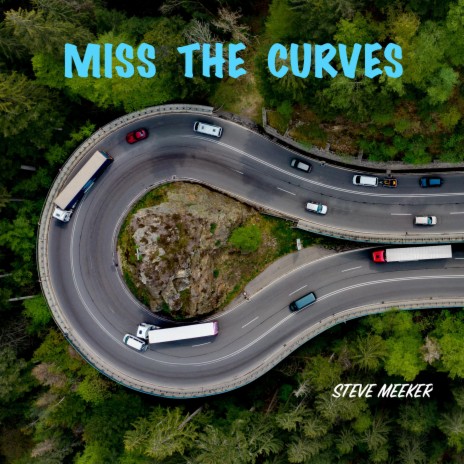 MISS THE CURVES | Boomplay Music