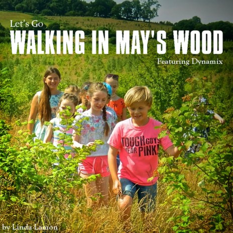 Walking in May's Wood